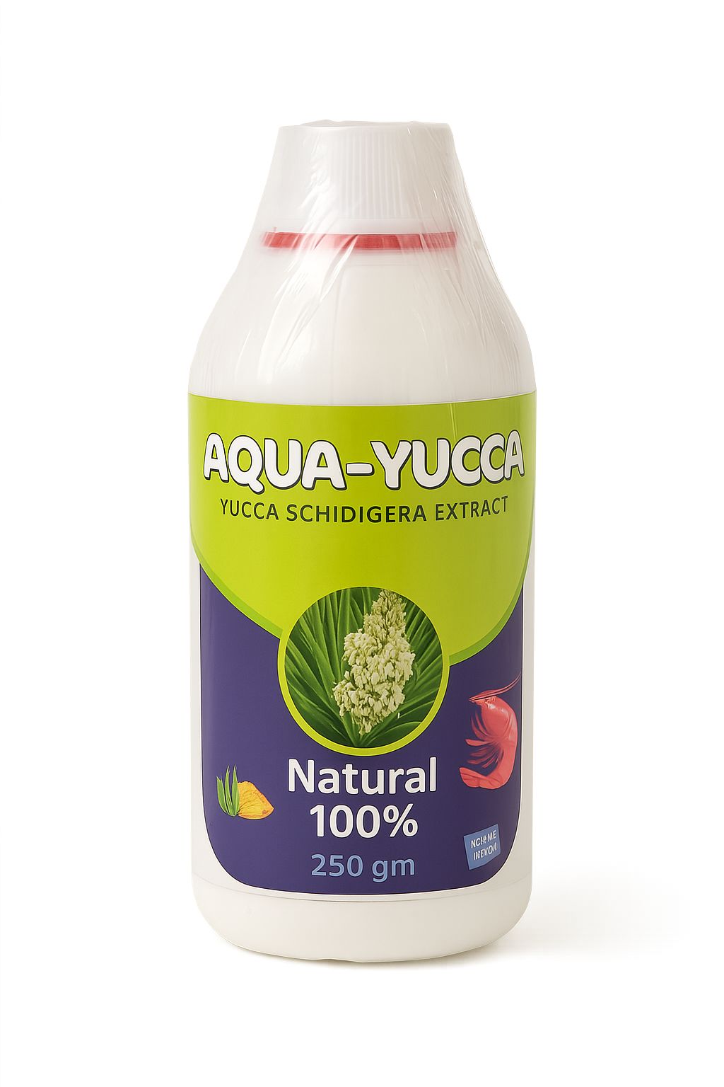 AQUA – Yucca