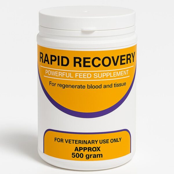 Rapid Recovery